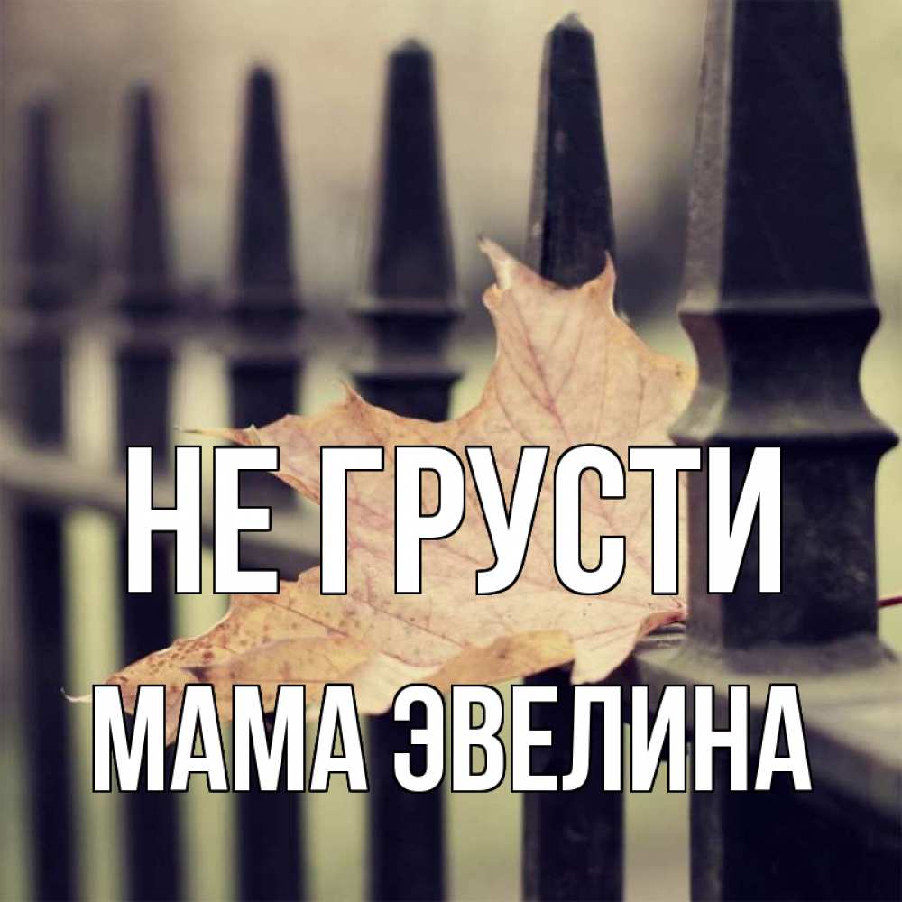 Открытка на каждый день с именем, Мама-Эвелина Не грусти лист клена Прикольная открытка с пожеланием онлайн скачать бесплатно 