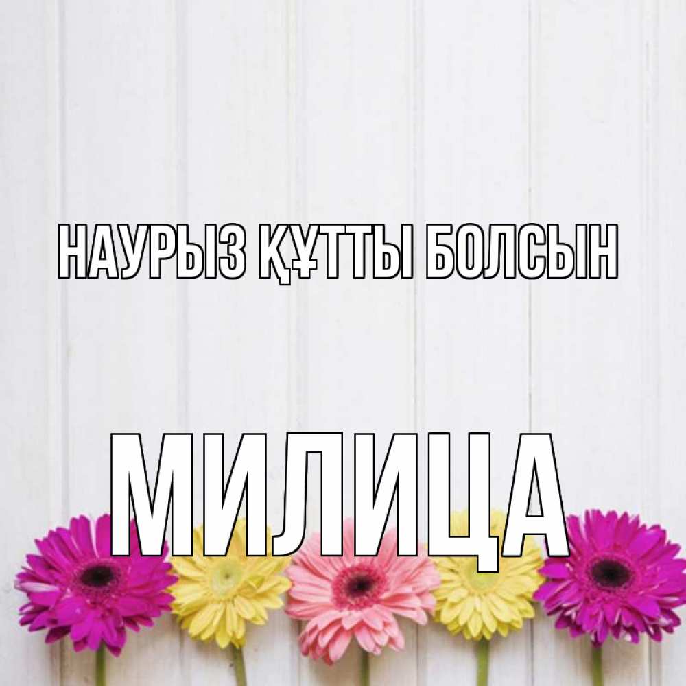 Открытка на каждый день с именем, Милица Наурыз құтты болсын женщинам 1 Прикольная открытка с пожеланием онлайн скачать бесплатно 