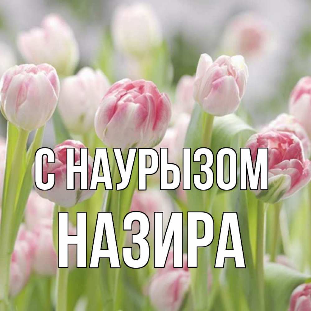 Открытка на каждый день с именем, Назира С наурызом цветы Прикольная открытка с пожеланием онлайн скачать бесплатно 