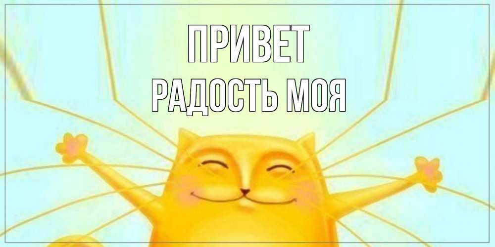 Открытка на каждый день с именем, Радость-моя Привет кот Прикольная открытка с пожеланием онлайн скачать бесплатно 