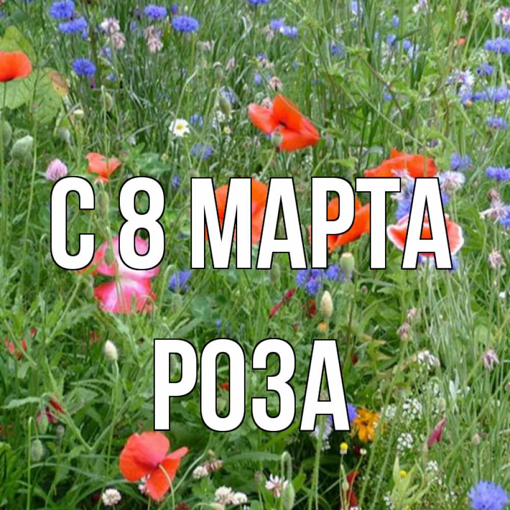 Открытка на каждый день с именем, Роза С 8 марта международный женский день 4 Прикольная открытка с пожеланием онлайн скачать бесплатно 