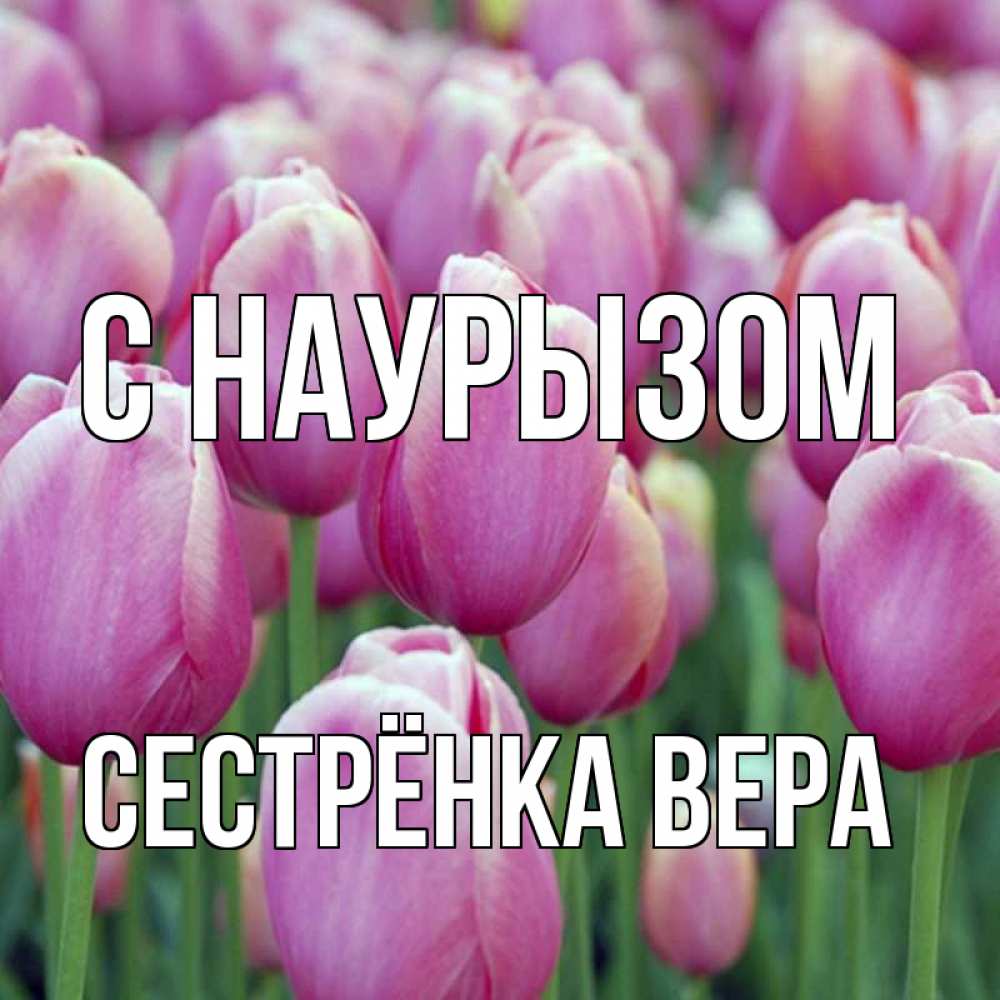 Открытка на каждый день с именем, Сестрёнка-Вера С наурызом праздник весны наурыз 69 Прикольная открытка с пожеланием онлайн скачать бесплатно 
