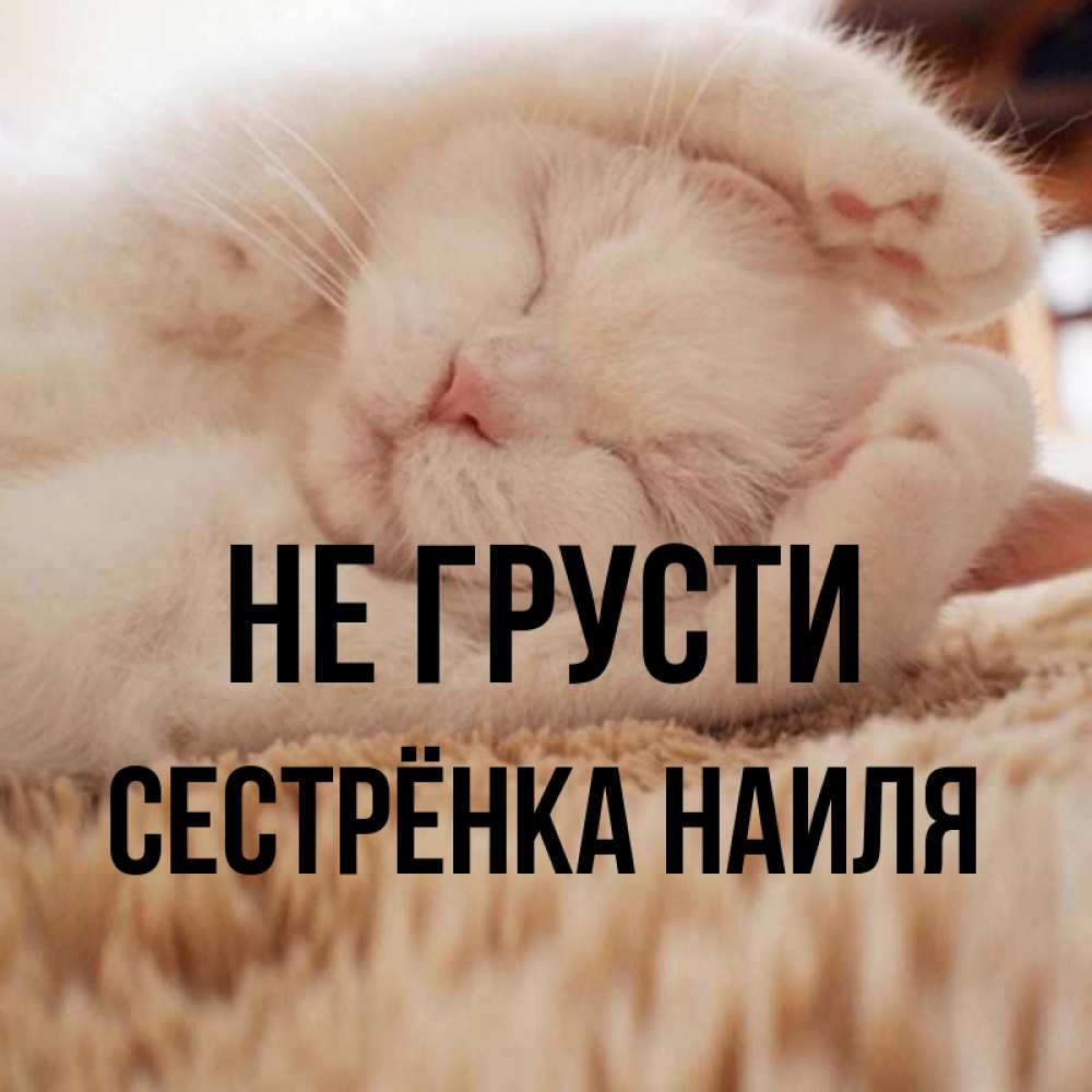 Открытка на каждый день с именем, Сестрёнка-Наиля Не грусти Котенок спит Прикольная открытка с пожеланием онлайн скачать бесплатно 