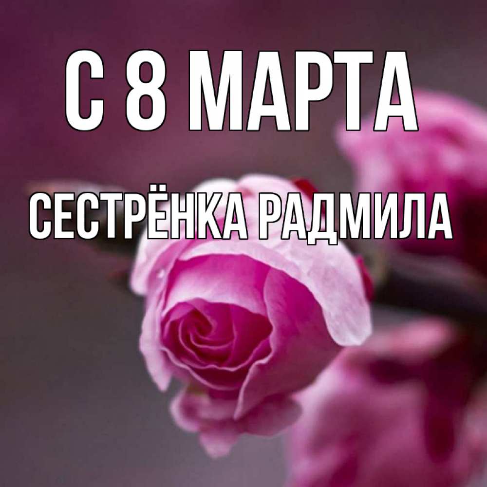 Открытка на каждый день с именем, Сестрёнка-Радмила С 8 МАРТА весна Прикольная открытка с пожеланием онлайн скачать бесплатно 