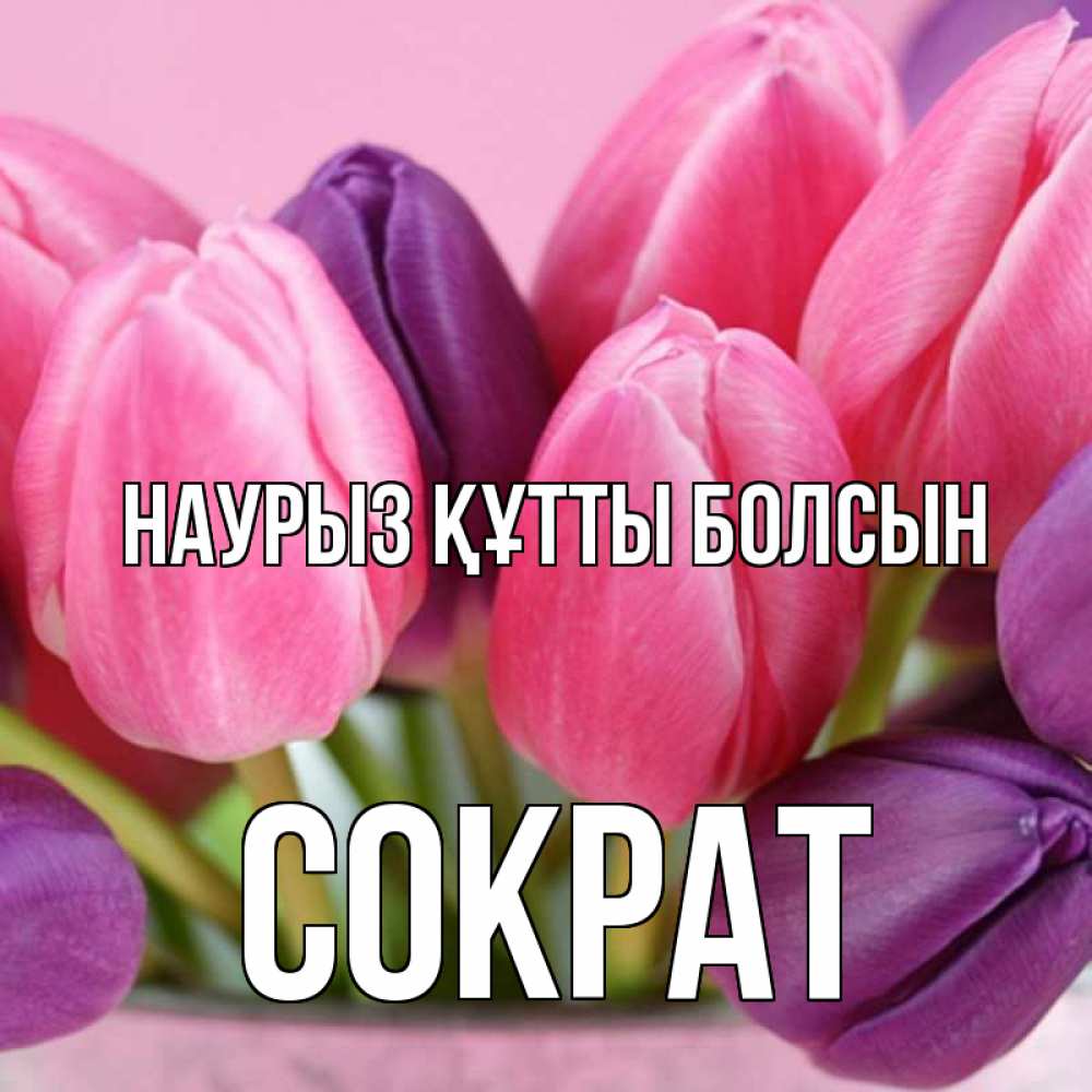 Открытка на каждый день с именем, Сократ Наурыз құтты болсын маме 1 Прикольная открытка с пожеланием онлайн скачать бесплатно 