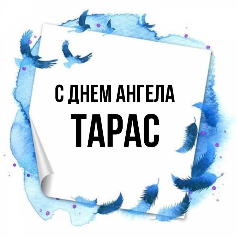 Открытка на каждый день с именем, Тарас С днем ангела красивые птицы летят Прикольная открытка с пожеланием онлайн скачать бесплатно 