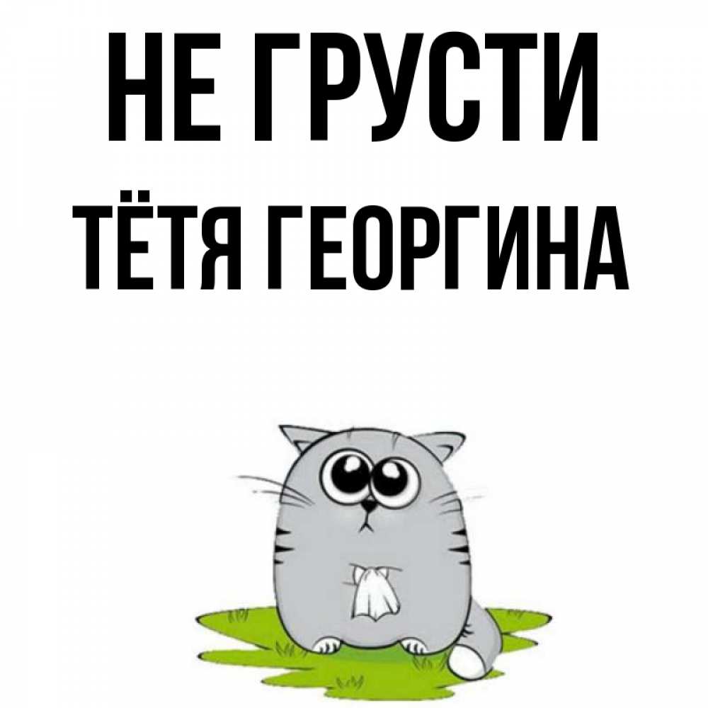 Открытка на каждый день с именем, Тётя-Георгина Не грусти грустный котяра Прикольная открытка с пожеланием онлайн скачать бесплатно 