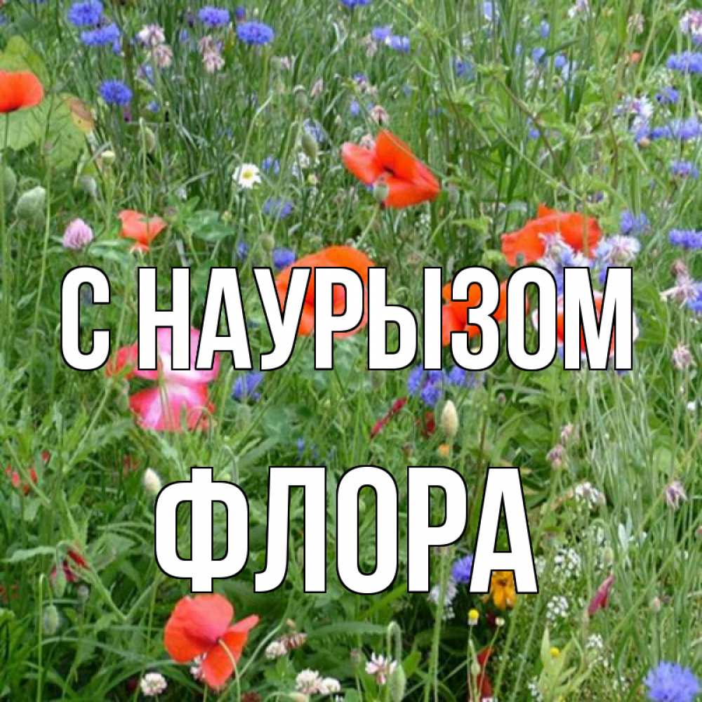 Открытка на каждый день с именем, Флора С наурызом праздник весны наурыз супер открытка Прикольная открытка с пожеланием онлайн скачать бесплатно 