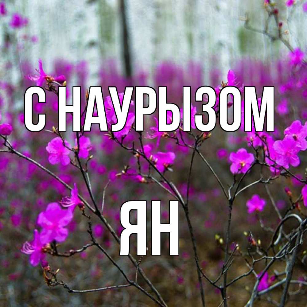 Открытка на каждый день с именем, Ян С наурызом дикие цветы Прикольная открытка с пожеланием онлайн скачать бесплатно 