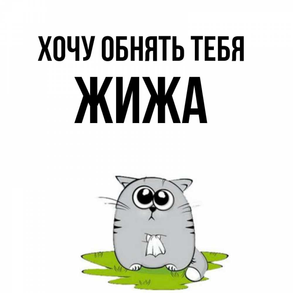 Картинка с надписью ты котик