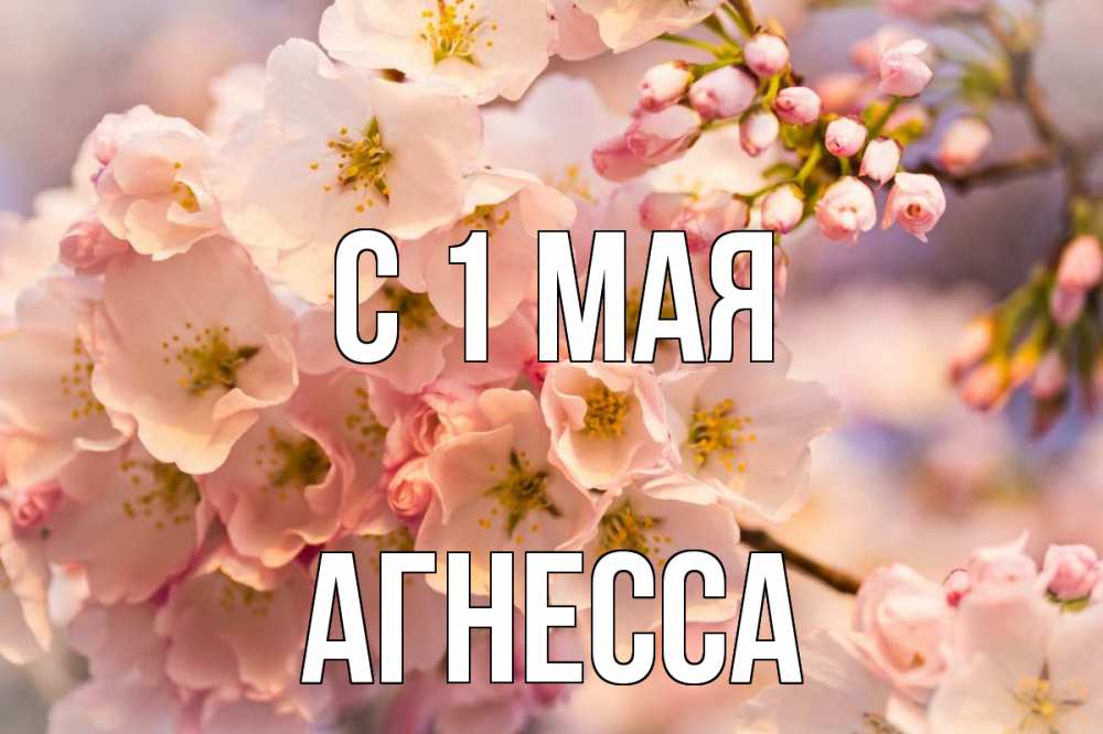 Открытка на каждый день с именем, Агнесса С 1 мая С 1 мая Прикольная открытка с пожеланием онлайн скачать бесплатно 