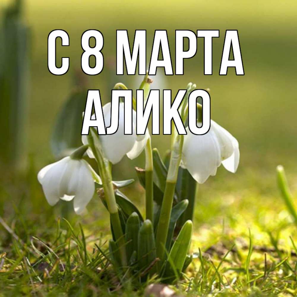 Открытка на каждый день с именем, Алико С 8 МАРТА ранние цветы 2 Прикольная открытка с пожеланием онлайн скачать бесплатно 