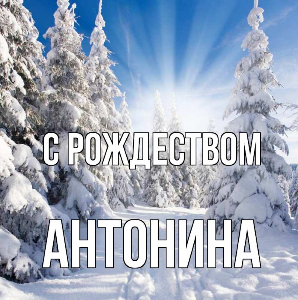 Открытка на каждый день с именем, Антонина С рождеством зима, лес Прикольная открытка с пожеланием онлайн скачать бесплатно 