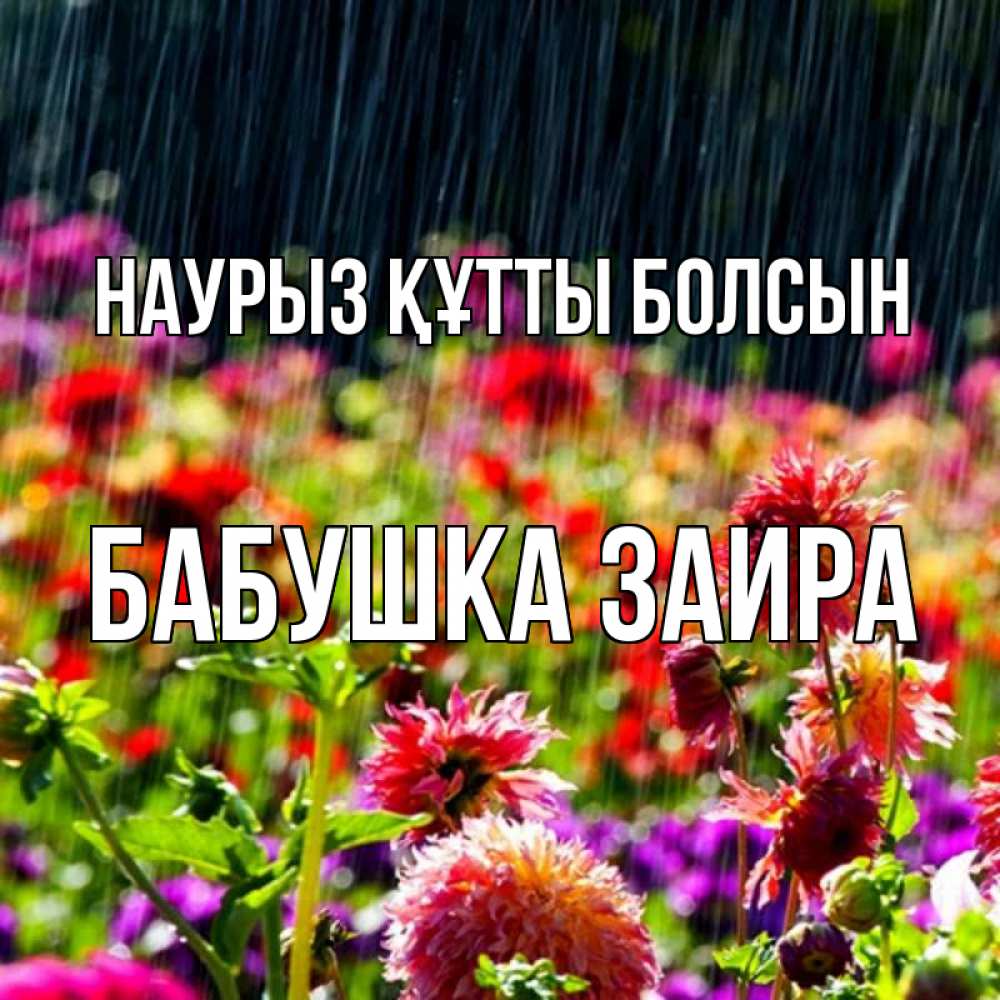 Открытка на каждый день с именем, Бабушка-Заира Наурыз құтты болсын цветы под дождиком к наурызу Прикольная открытка с пожеланием онлайн скачать бесплатно 