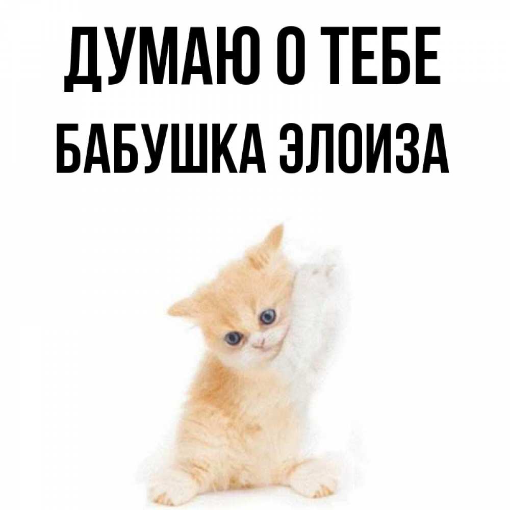 Открытка на каждый день с именем, Бабушка-Элоиза Думаю о тебе зверушки и милота Прикольная открытка с пожеланием онлайн скачать бесплатно 