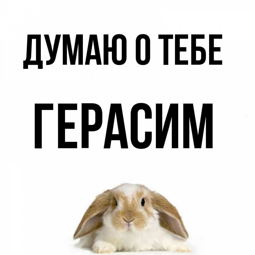 Открытка на каждый день с именем, Герасим Думаю о тебе подписать своими руками онлайн Прикольная открытка с пожеланием онлайн скачать бесплатно 