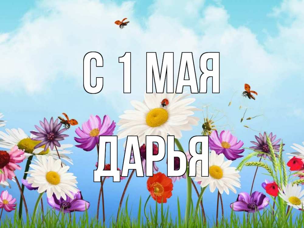 Открытка на каждый день с именем, Дарья С 1 мая С 1 мая Прикольная открытка с пожеланием онлайн скачать бесплатно 