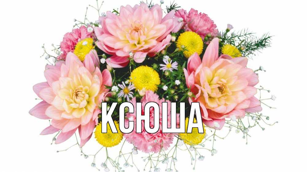 Открытка на каждый день с именем, Ксюша Главная с днем бухгалтера Прикольная открытка с пожеланием онлайн скачать бесплатно 