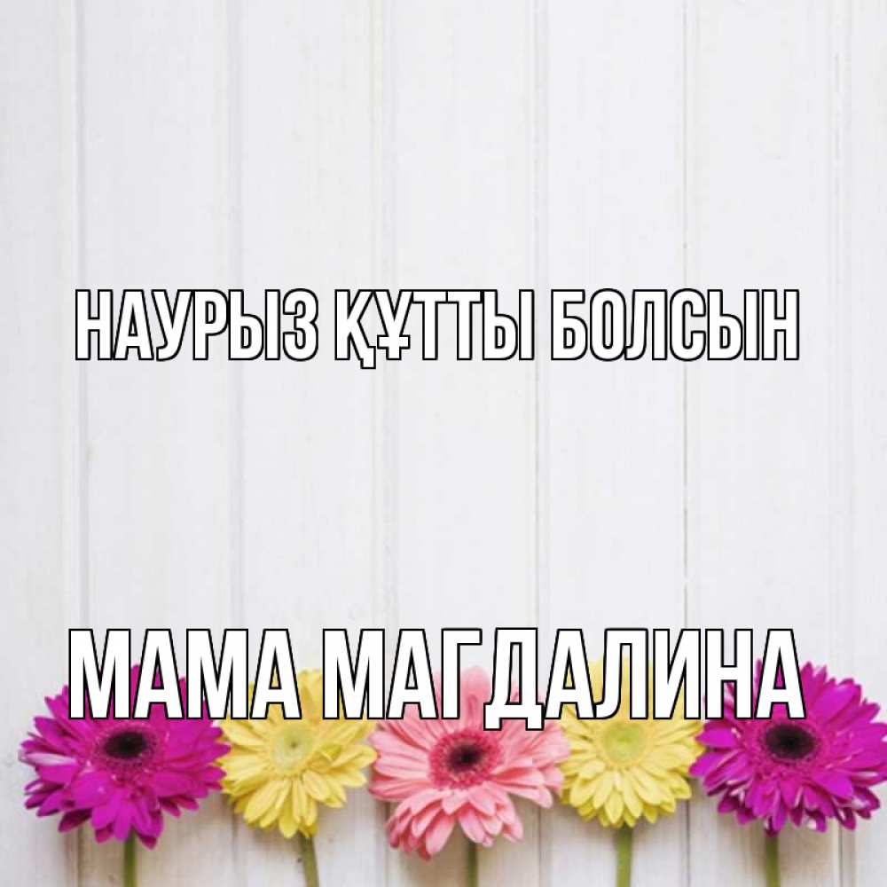 Открытка на каждый день с именем, Мама-Магдалина Наурыз құтты болсын женщинам 1 Прикольная открытка с пожеланием онлайн скачать бесплатно 