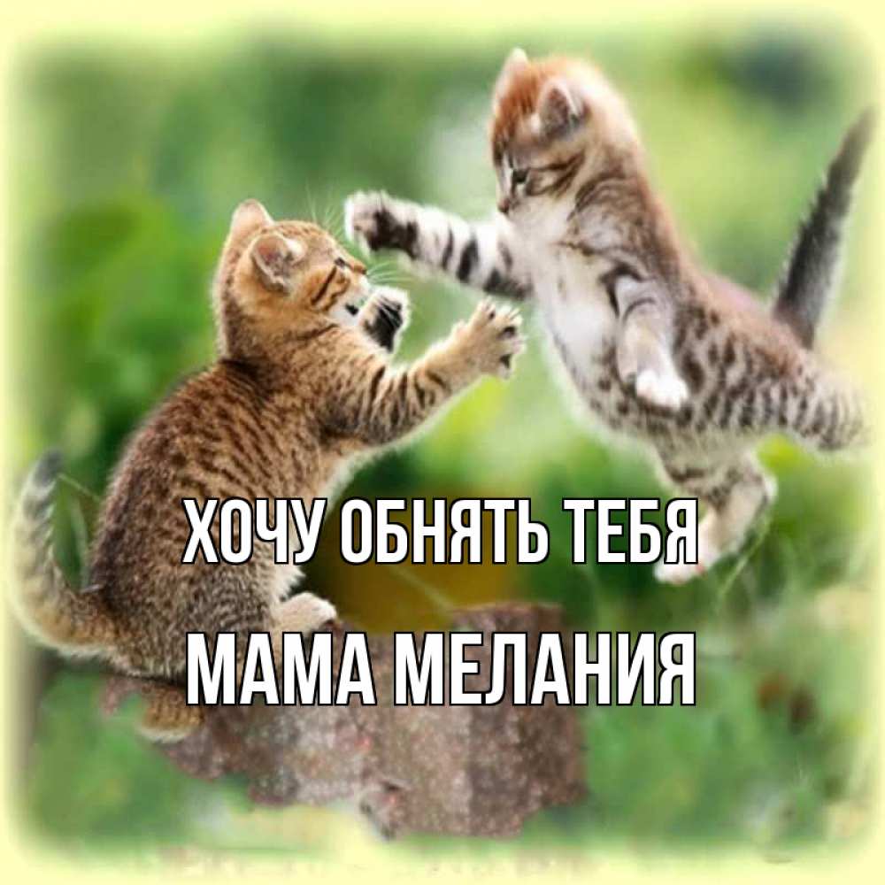 Открытка на каждый день с именем, Мама-Мелания Хочу обнять тебя игры котят Прикольная открытка с пожеланием онлайн скачать бесплатно 