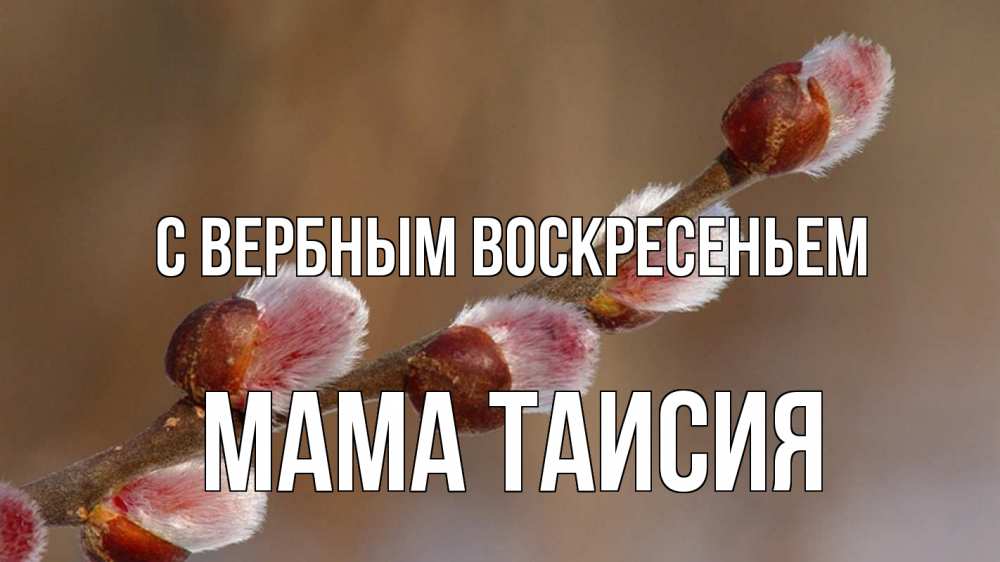 Открытка на каждый день с именем, Мама-Таисия С вербным воскресеньем верба Прикольная открытка с пожеланием онлайн скачать бесплатно 