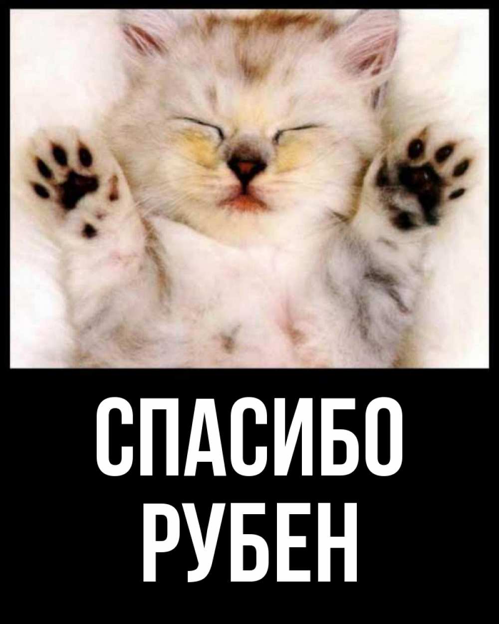 Открытка на каждый день с именем, Рубен Спасибо маленький котенок Прикольная открытка с пожеланием онлайн скачать бесплатно 