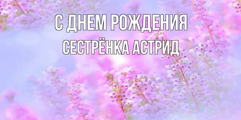 Открытка на каждый день с именем, Сестрёнка-Астрид С днем рождения красивая открытка с мелкими цветами Прикольная открытка с пожеланием онлайн скачать бесплатно 