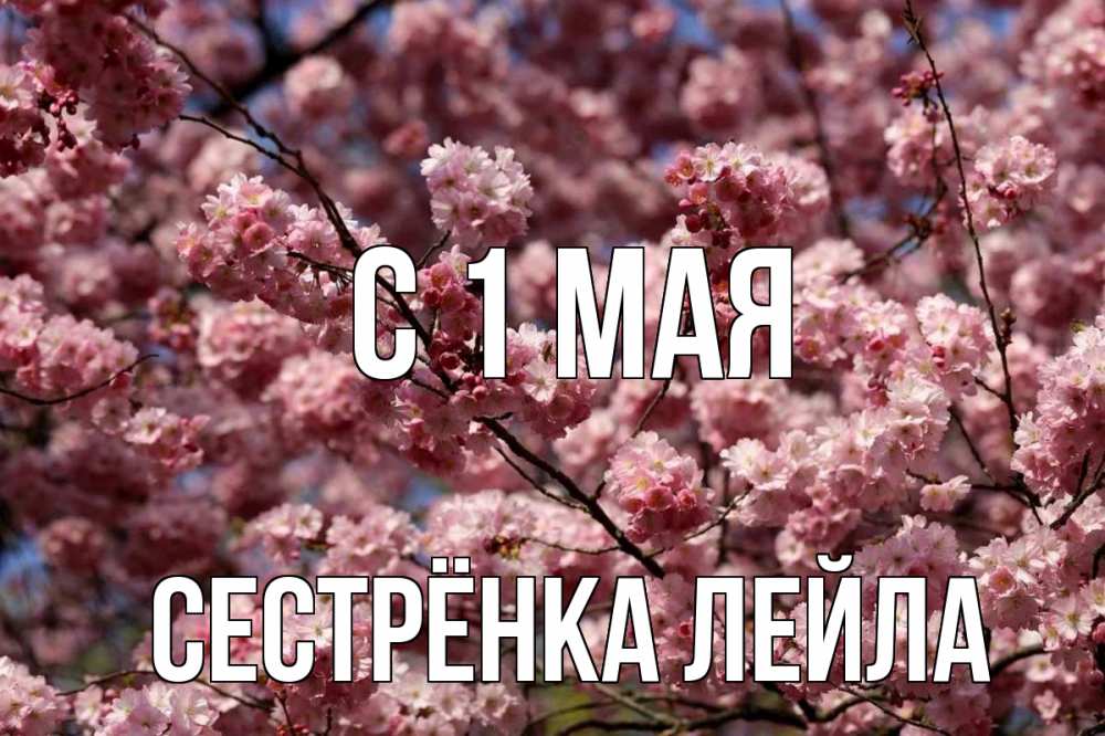 Открытка на каждый день с именем, Сестрёнка-Лейла С 1 мая С 1 мая Прикольная открытка с пожеланием онлайн скачать бесплатно 