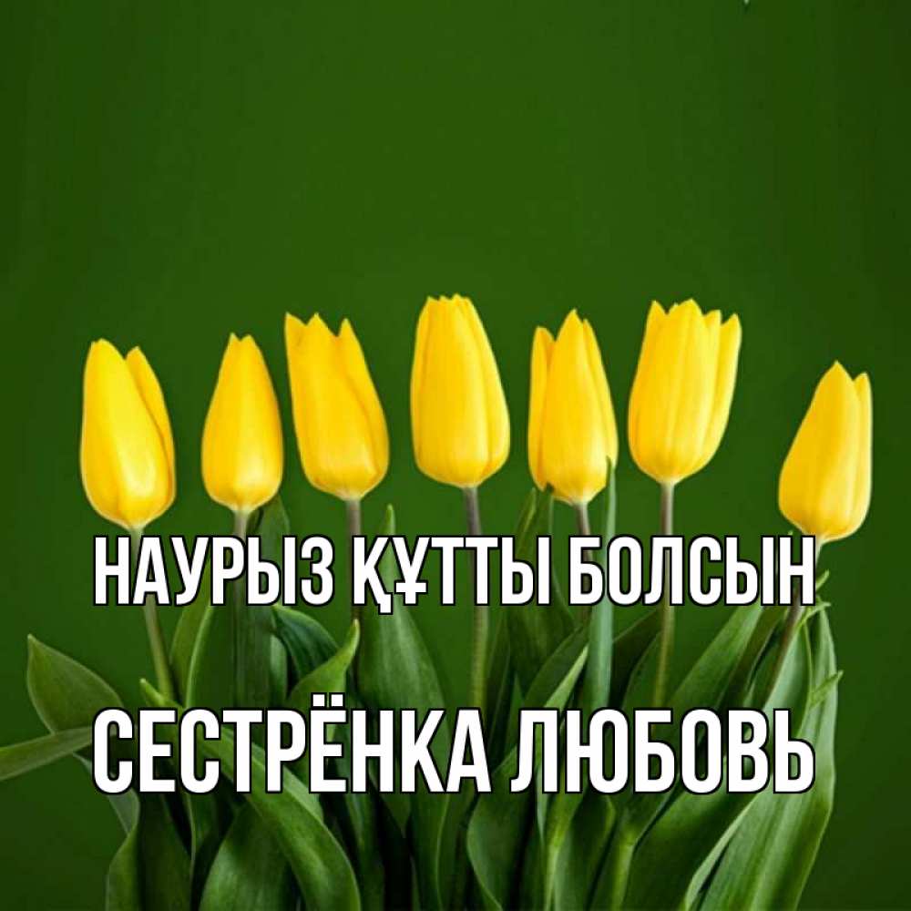 Открытка на каждый день с именем, Сестрёнка-Любовь Наурыз құтты болсын желтого цвета 3 Прикольная открытка с пожеланием онлайн скачать бесплатно 