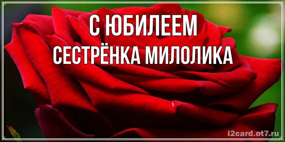Открытка на каждый день с именем, Сестрёнка-Милолика С юбилеем розочка очень красивая Прикольная открытка с пожеланием онлайн скачать бесплатно 