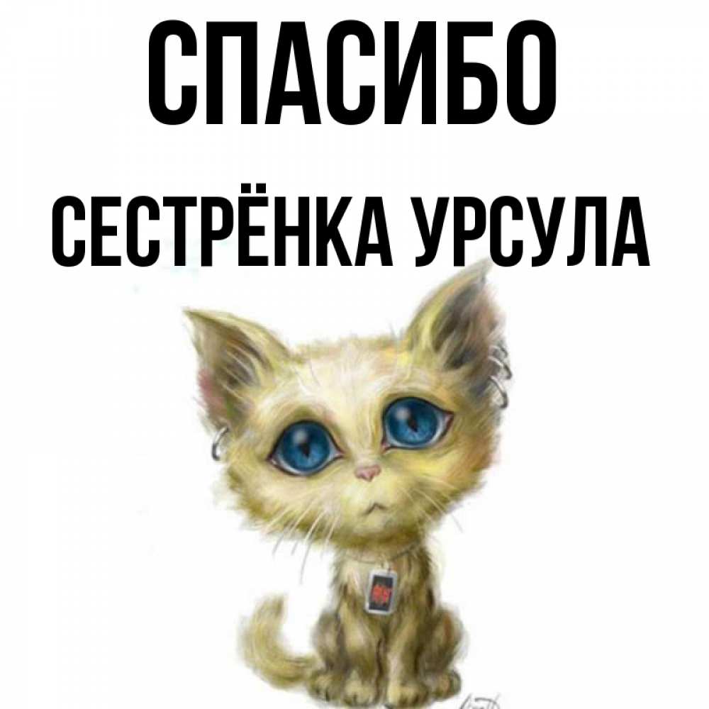 Открытка на каждый день с именем, Сестрёнка-Урсула Спасибо рисованный кот благодарит вас Прикольная открытка с пожеланием онлайн скачать бесплатно 