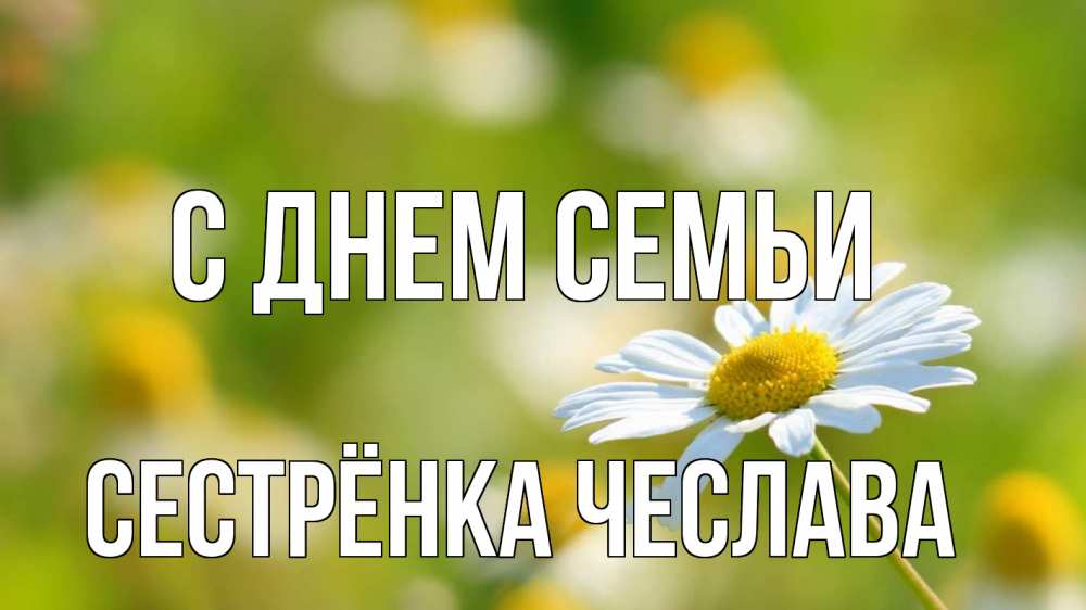 Открытка на каждый день с именем, Сестрёнка-Чеслава С днем семьи с днем семьи  1 Прикольная открытка с пожеланием онлайн скачать бесплатно 