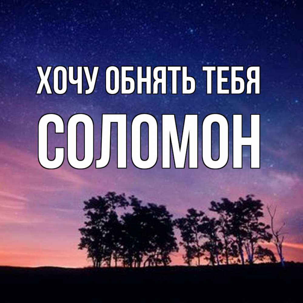 Открытка на каждый день с именем, Соломон Хочу обнять тебя силуэты деревьев Прикольная открытка с пожеланием онлайн скачать бесплатно 