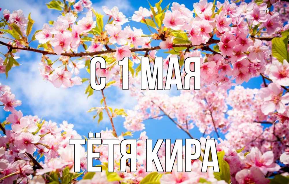 Открытка на каждый день с именем, Тётя-Кира С 1 мая С 1 мая Прикольная открытка с пожеланием онлайн скачать бесплатно 