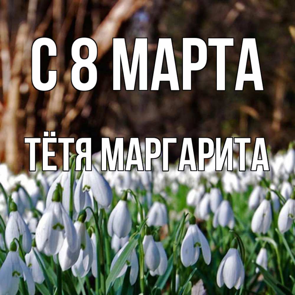 Открытка на каждый день с именем, Тётя-Маргарита С 8 МАРТА с подснежниками 1 Прикольная открытка с пожеланием онлайн скачать бесплатно 