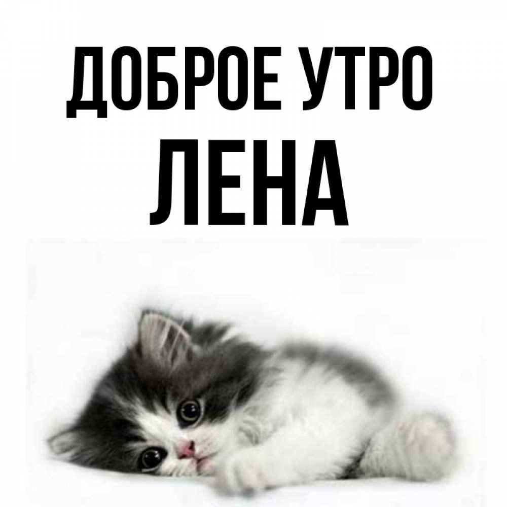 Доброе утро лена картинки красивые