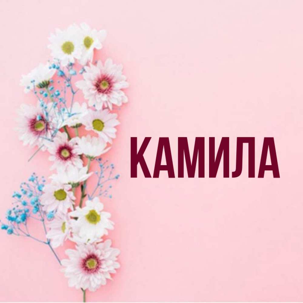 Имя камила картинки