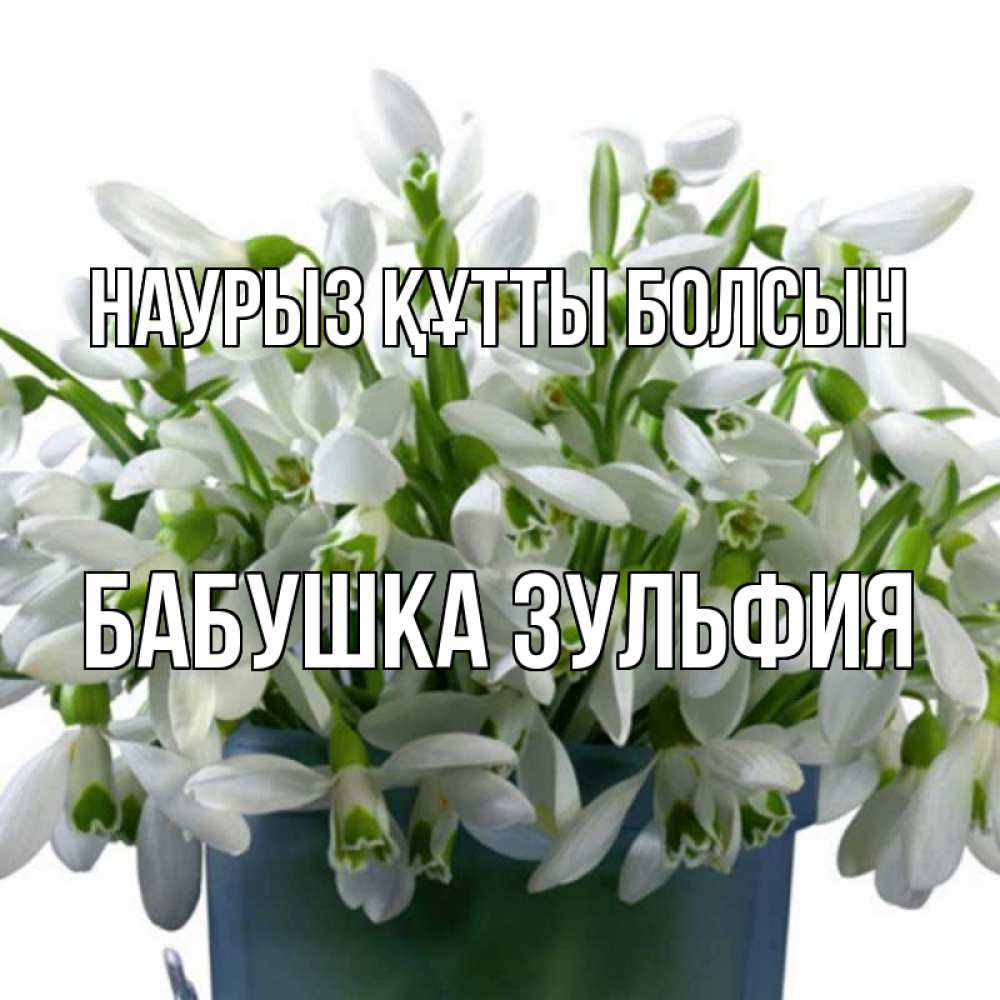 Открытка на каждый день с именем, Бабушка-Зульфия Наурыз құтты болсын цветы к наурызу Прикольная открытка с пожеланием онлайн скачать бесплатно 