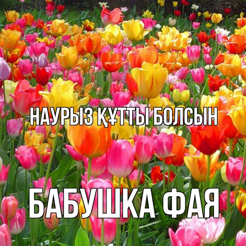 Открытка на каждый день с именем, Бабушка-Фая Наурыз құтты болсын на наурыз  ура ура Прикольная открытка с пожеланием онлайн скачать бесплатно 