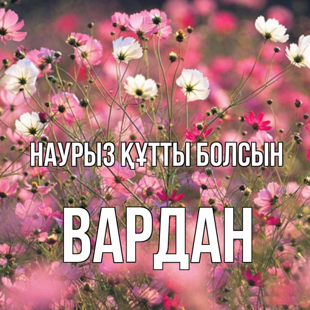 Открытка на каждый день с именем, Вардан Наурыз құтты болсын красиво 1 Прикольная открытка с пожеланием онлайн скачать бесплатно 