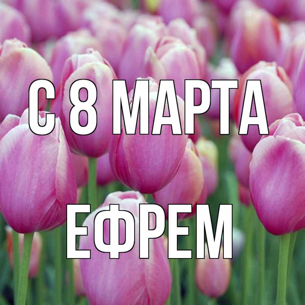Открытка на каждый день с именем, Ефрем С 8 МАРТА на международный женский день 3 Прикольная открытка с пожеланием онлайн скачать бесплатно 