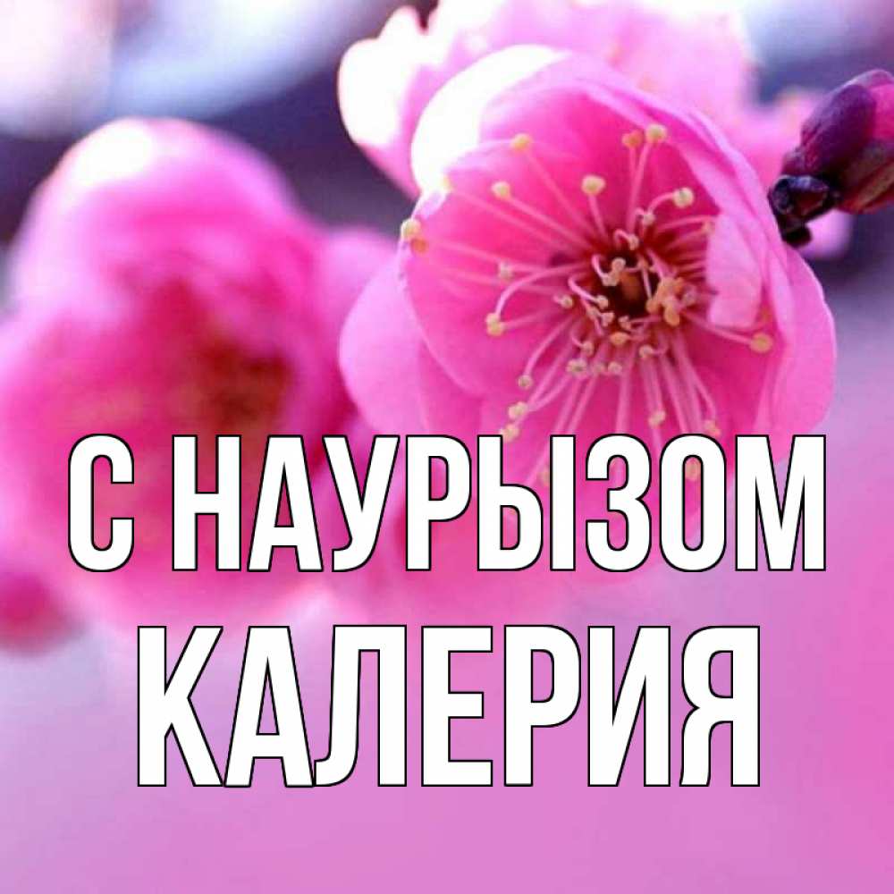 Открытка на каждый день с именем, Калерия С наурызом международный женский день Прикольная открытка с пожеланием онлайн скачать бесплатно 