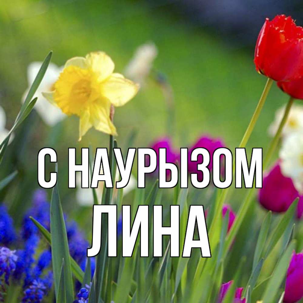 Открытка на каждый день с именем, Лина С наурызом праздник весны наурыз 3 Прикольная открытка с пожеланием онлайн скачать бесплатно 