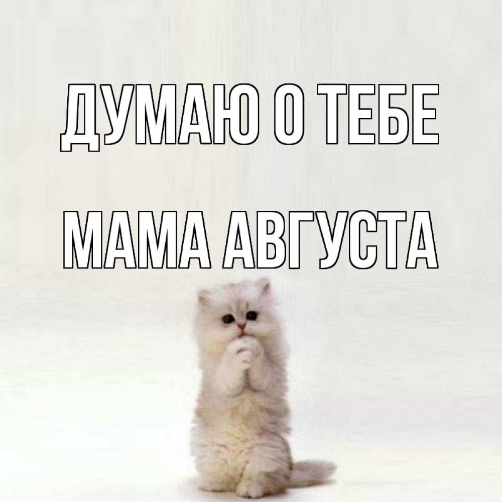 Открытка на каждый день с именем, Мама-Августа Думаю о тебе кот стоит на задних лапах Прикольная открытка с пожеланием онлайн скачать бесплатно 