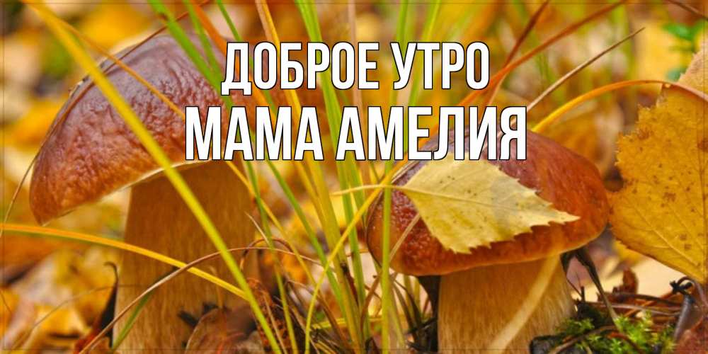 Открытка на каждый день с именем, Мама-Амелия Доброе утро осенние грибы Прикольная открытка с пожеланием онлайн скачать бесплатно 