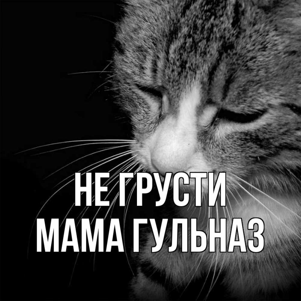 Открытка на каждый день с именем, Мама-Гульназ Не грусти грустный котик Прикольная открытка с пожеланием онлайн скачать бесплатно 