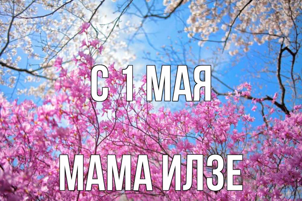 Открытка на каждый день с именем, Мама-Илзе С 1 мая С 1 мая Прикольная открытка с пожеланием онлайн скачать бесплатно 