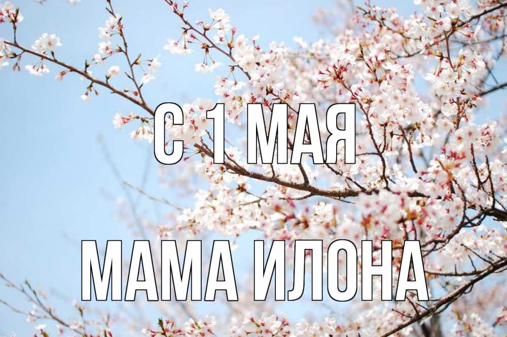 Открытка на каждый день с именем, Мама-Илона С 1 мая С 1 мая Прикольная открытка с пожеланием онлайн скачать бесплатно 