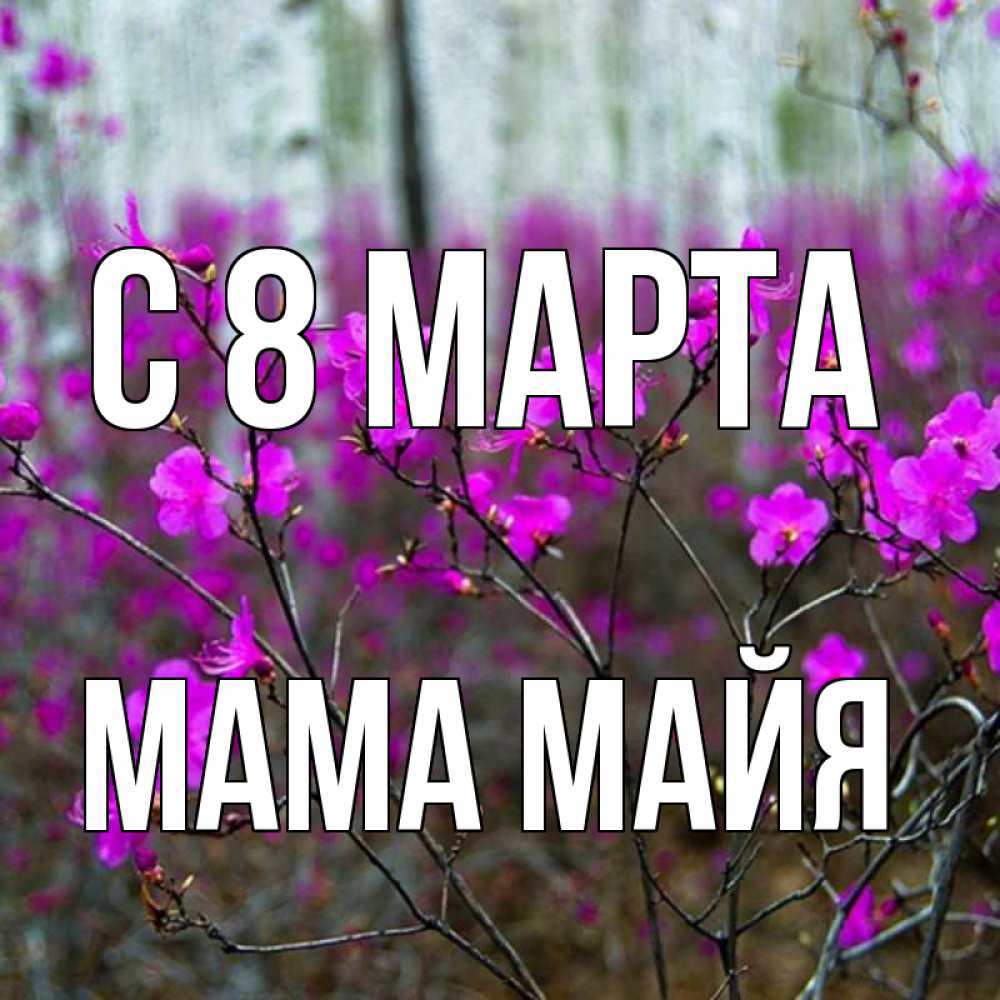Картинка С 8 марта, Мама Майя