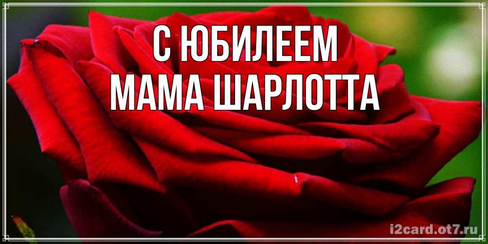 Открытка на каждый день с именем, Мама-Шарлотта С юбилеем розочка очень красивая Прикольная открытка с пожеланием онлайн скачать бесплатно 